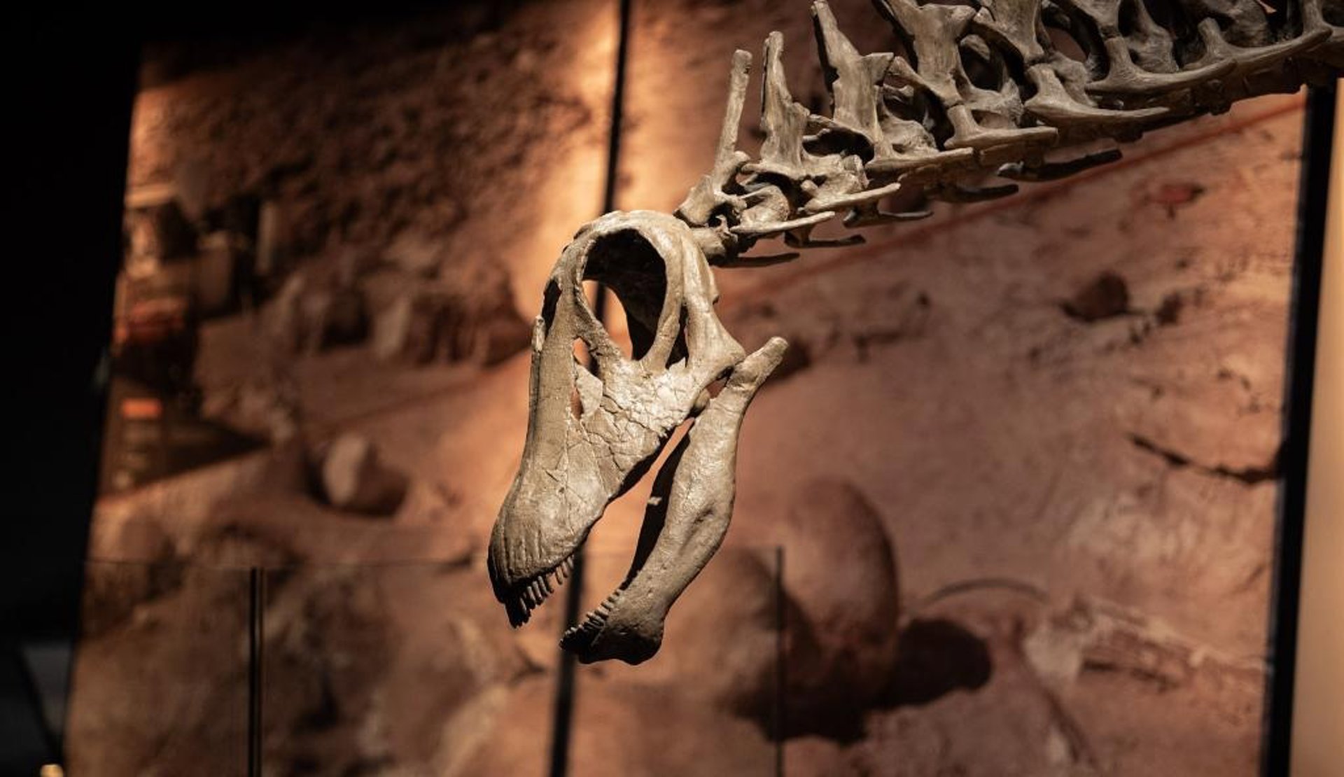 Dinosaurios de la Patagonia, el arte de Ñaco Fabré y cine sobre migraciones para cerrar 2026 en el CaixaForum de Palma
