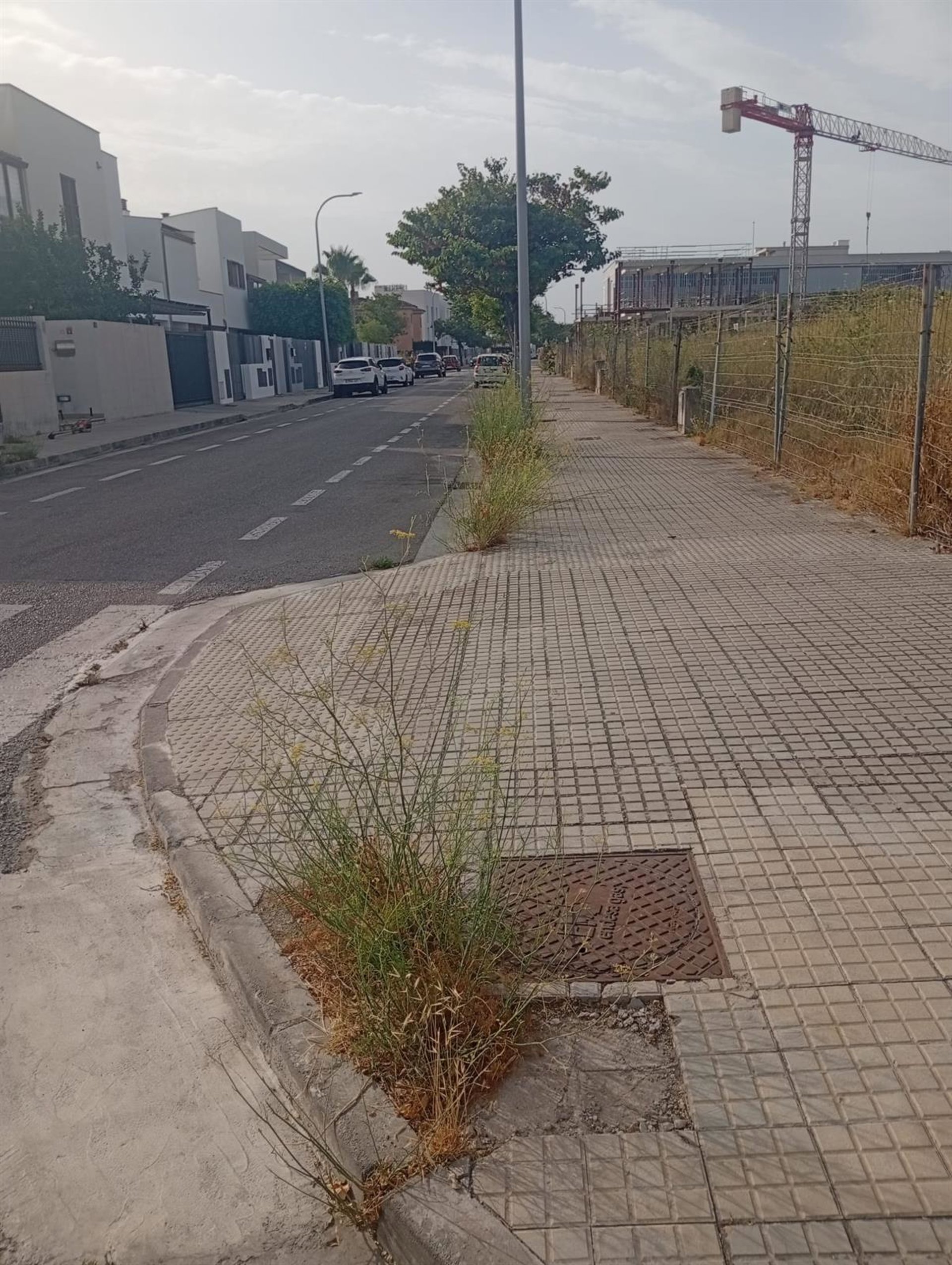 Emaya actúa en más de 1,5 millones de metros lineales de calles y espacios viarios hasta julio