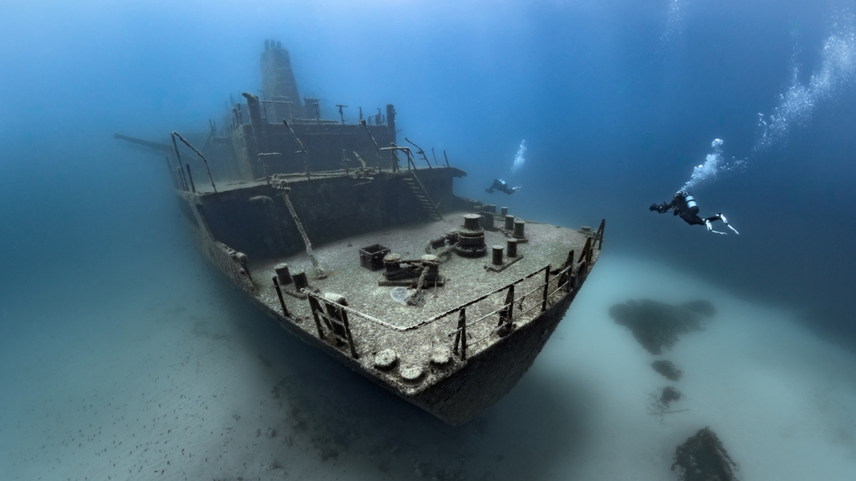 La agencia de viajes especializada en buceo cerró 2025, su primer ejercicio completo, con un crecimiento de siete veces en ingresos y prepara una nueva ronda de financiación para continuar su expansión