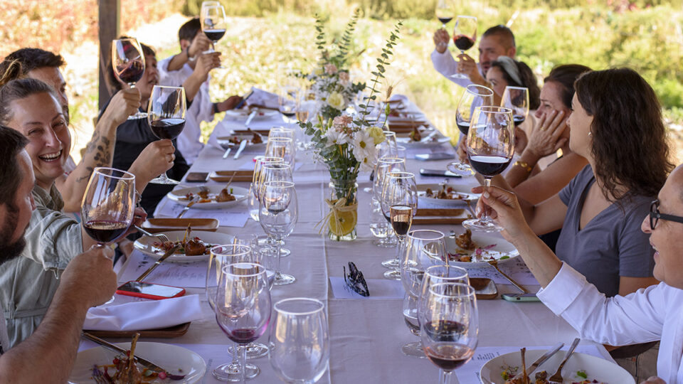 Chile, un viaje entre viñedos y sabores